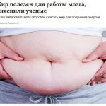 Жир и его роль в мозговой активности