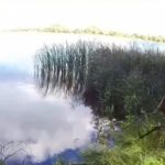 Нарушения в использовании водоема в Тамбовской области